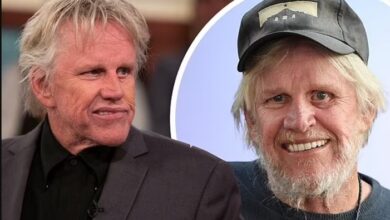 Gary Busey Car Accident