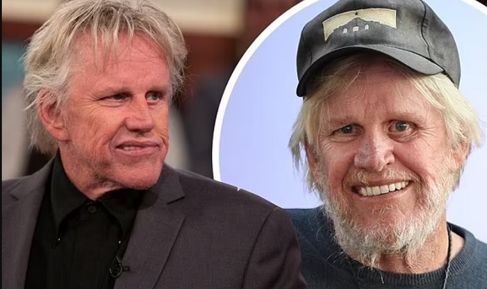 Gary Busey Car Accident