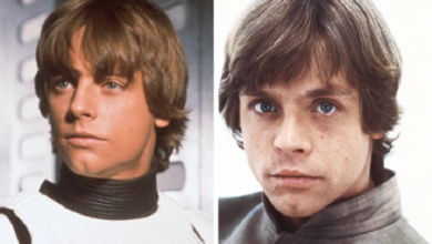 Mark Hamill’s Car Accident